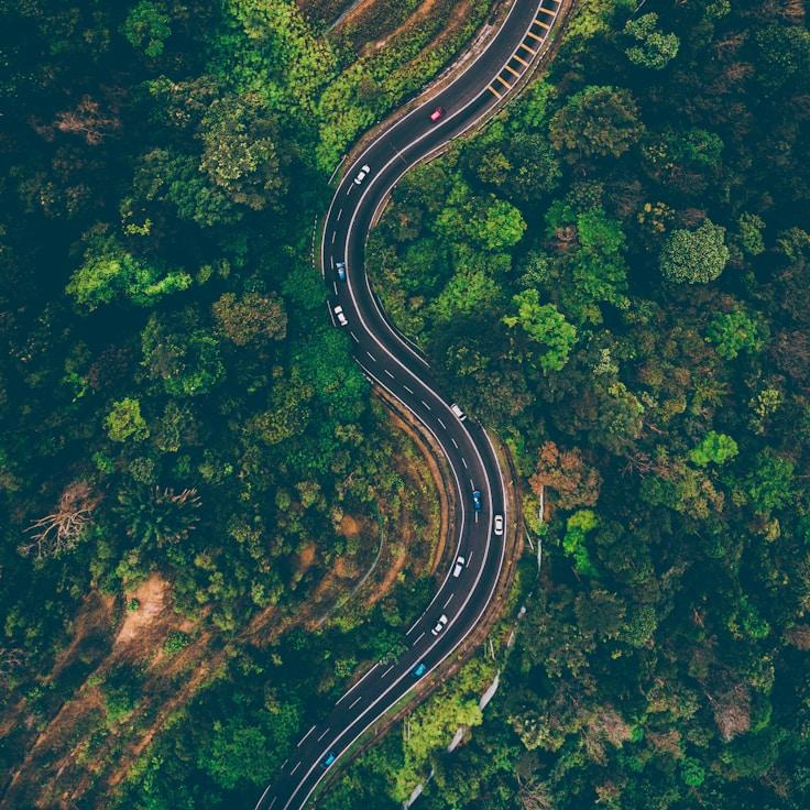 Nature travel hero image